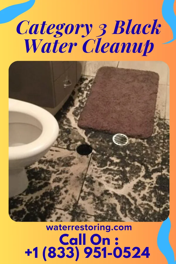 Category 3 Black Water Cleanup in Clarksville, VA