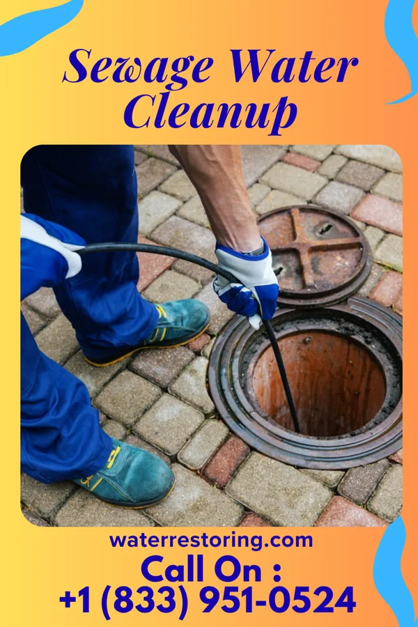 Sewage Water Cleanup in Clarksville, VA